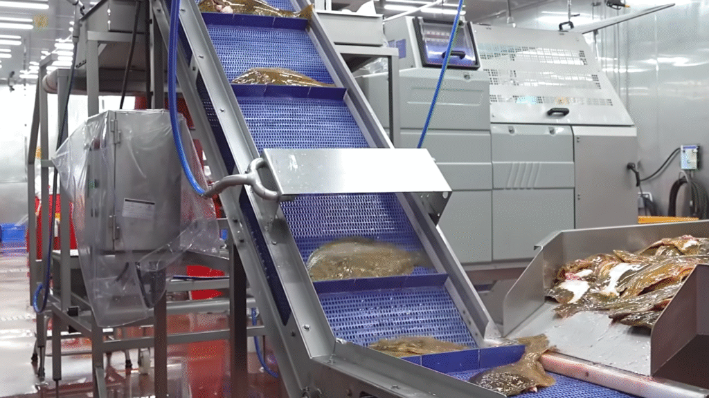 鱼类加工