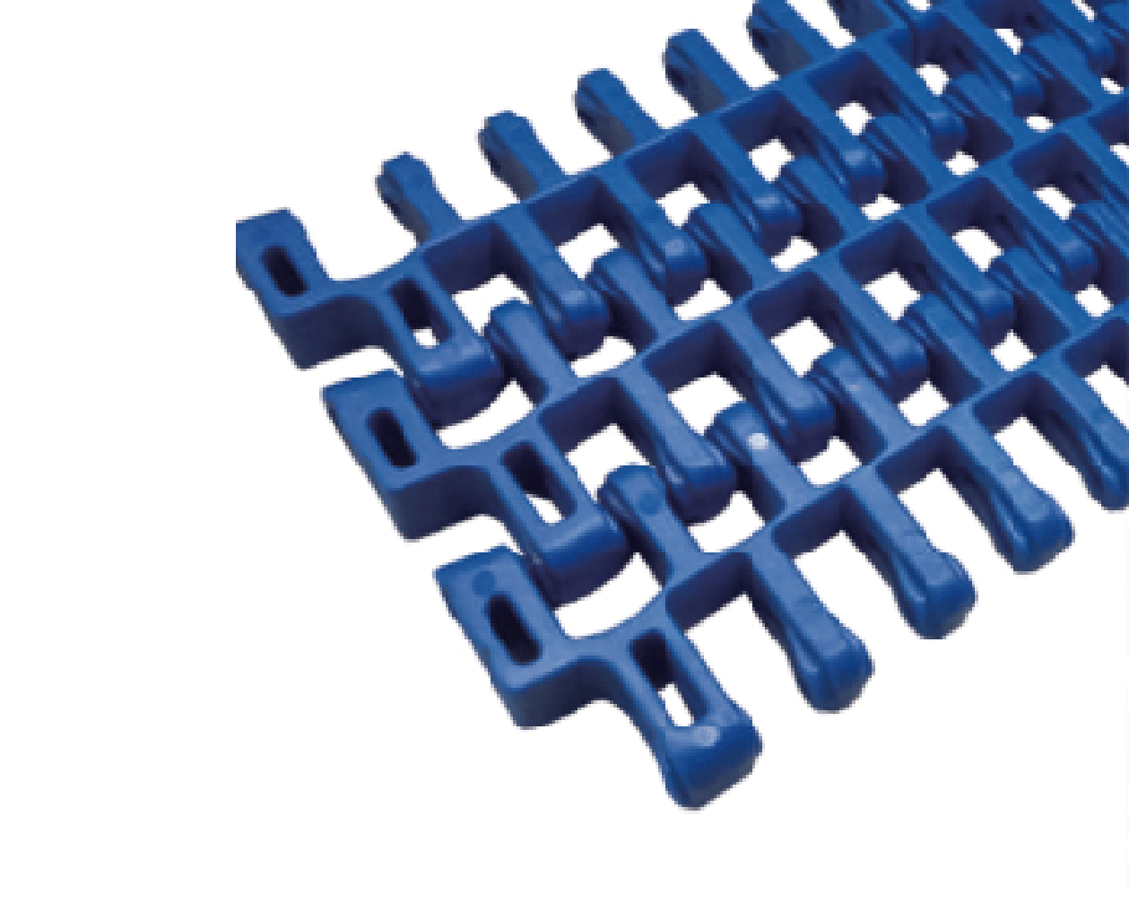 cy 50809w1 turn the net chain