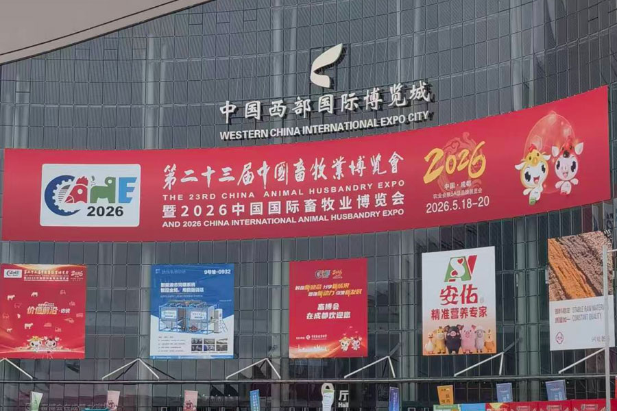 corrugated exhibition