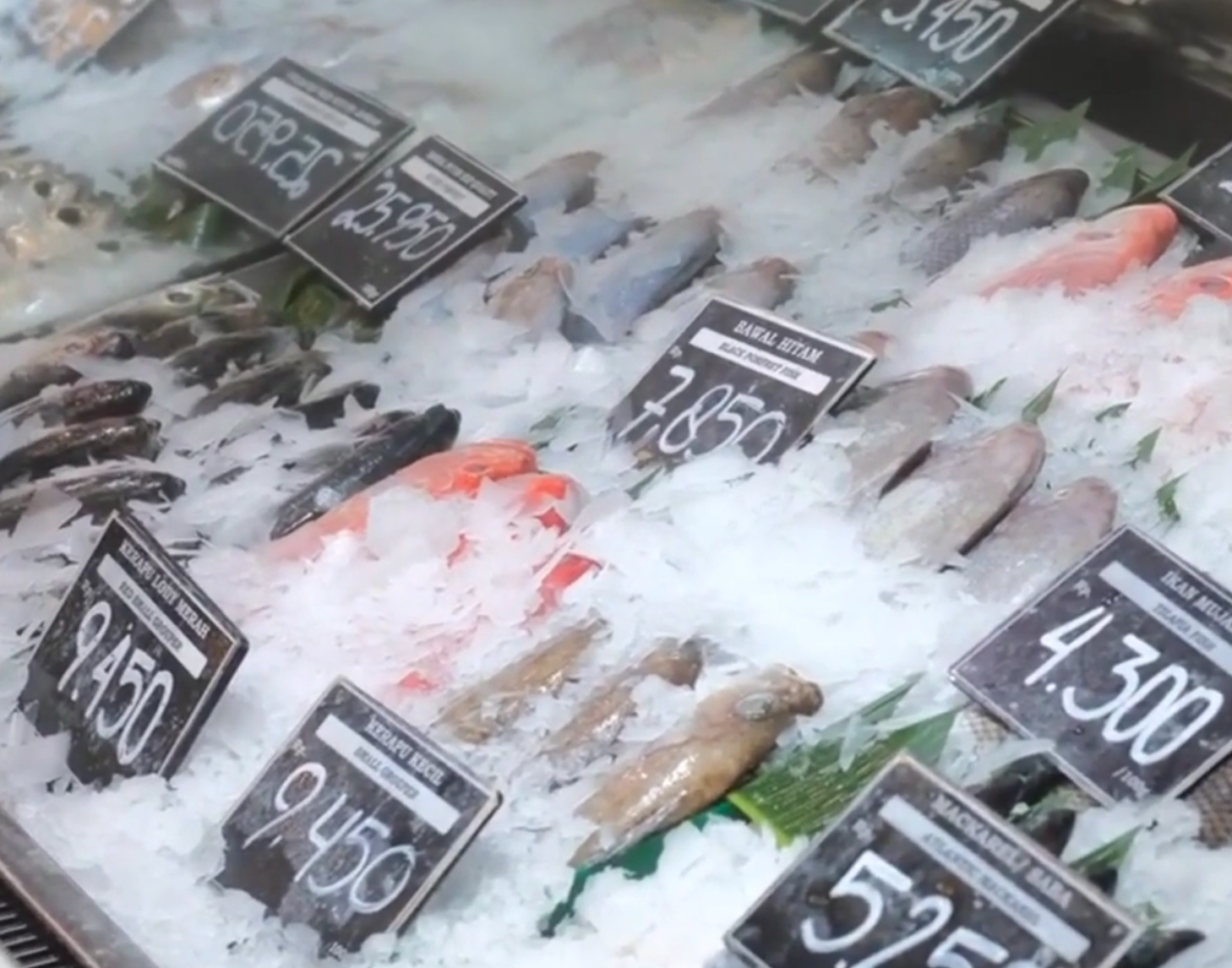 frozen food production (1)