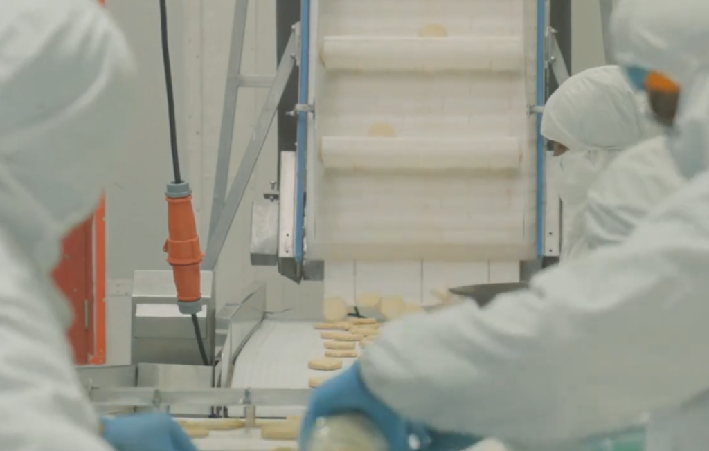 frozen food production (2)