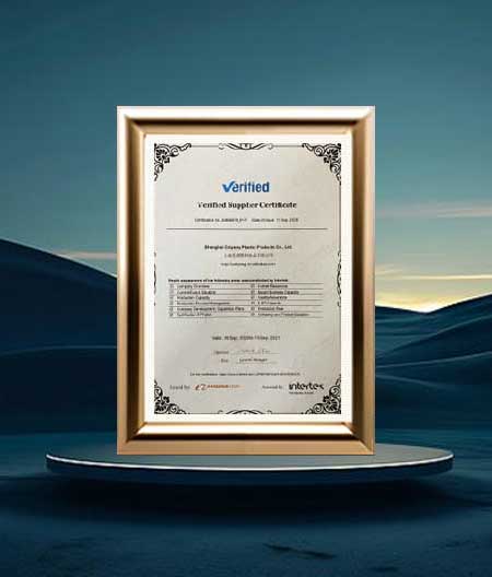 Company Certificate
