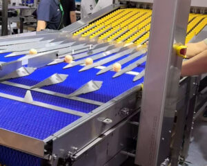Plastic Mesh Belt Production