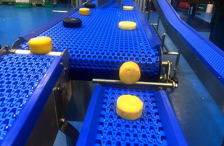 food conveyor chain